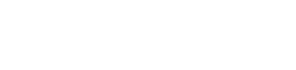 logo white - Cerdas Teknologi Internasional